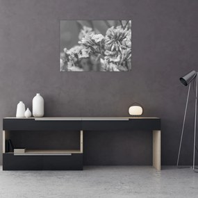 Üveg kép - Szárított virágok (70x50 cm)