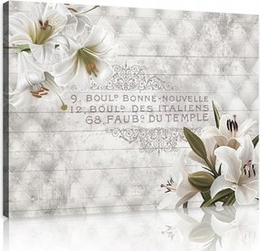 Vászonkép falikép szürke fehér elegáns liliomok 100 x 75