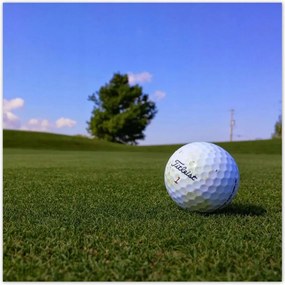 Poszterek 100x100 Golf játék Labda a mezőn