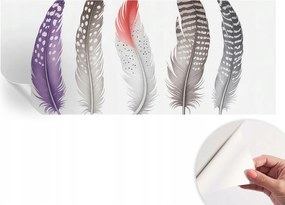 Öntapadós Fali Fotótapéta Hálószobába Mintás tollak 250x104 cm