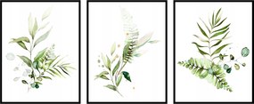 Poszter szett nappaliba növények fű 3x 40x50cm