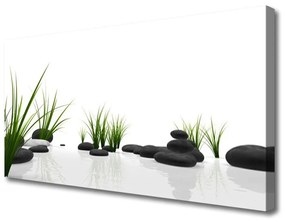 Canvas kép Stones Grass Art 100x50 cm