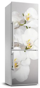 Matrica hűtőre Orchidea FridgeStick-70x190-f-133396361