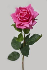 Ciklámen mű virágzó rózsa 74cm