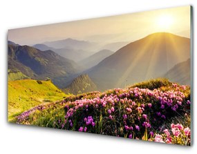 Akril üveg kép Mountain Meadow Landscape 100x50 cm