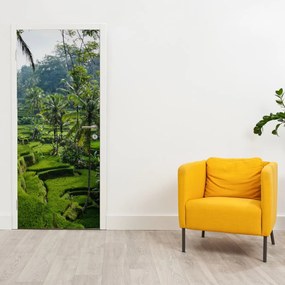 Fotótapéta ajtóra - Tegalalang rizsteraszok (95x205cm)