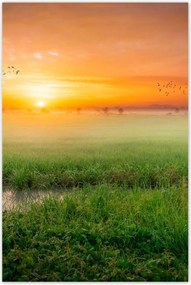 Poszterek 80x120 Napfelkelte Ébredés