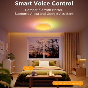 Govee - LED RGBIC Dimmelhető mennyezeti lámpa LED/49W/230V 2700-6500K Wi-Fi