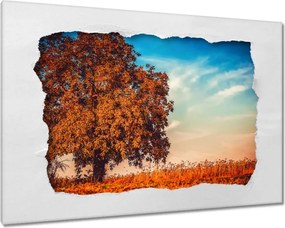 Festmények 120x80 Jessiene színek Tájkép