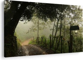 Reggeli köd képe (90x60 cm)