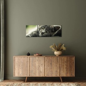 Cica képe (órával) (90x30 cm)