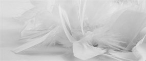 Kép - Tollak (120x50 cm)