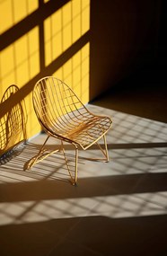 Poszter 53x81cm Arany Szédülés