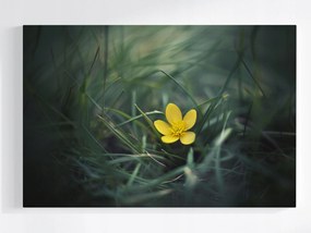 Vászonkép Canvas Kert Rét Fű Sárga Virág Tavasz Természet 120x80