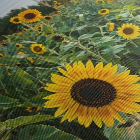 Kép - Napraforgómező II. (órával) (90x30 cm)