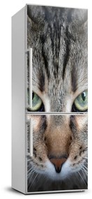 Hűtő matrica Macska szemek FridgeStick-70x190-f-114220094