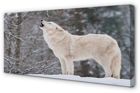 Canvas képek Wolf téli erdőben 100x50 cm