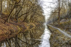 Poszter 30x20cm Csatorna az erdőben, Assaf Frank