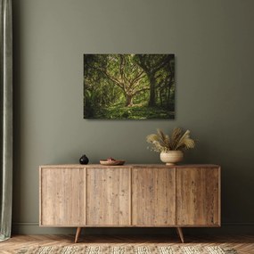 Fa képe (üvegen) (70x50 cm)