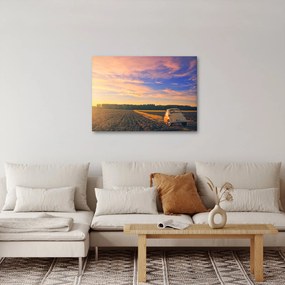 Egy sárga autó képe a mezőn (70x50 cm)
