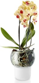 Önöntözős üveg virágcserép orchideához 15 cm, Eva Solo