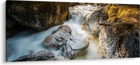 Kép - Erdei patak (120x50 cm)