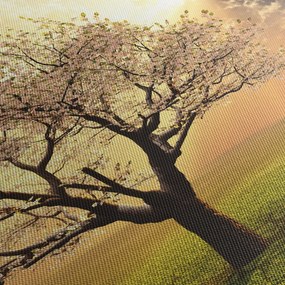 Fa képe a réten (150x105 cm)