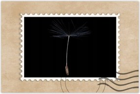 Poszterek 60x40 Pitypang Virág Virágok