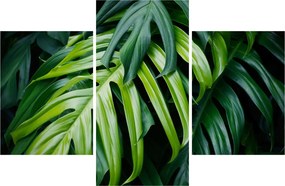 Kép - trópusi levelek (90x60 cm)
