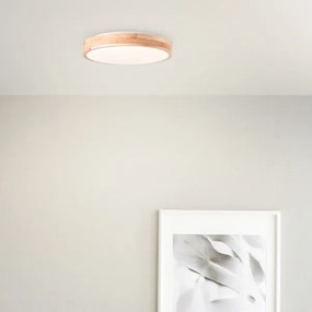Brilliant - LED mennyezeti lámpa SLIMLINE LED/24W/230V Ø 34,5 cm gumifa