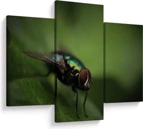 Kép - Légy (90x60 cm)