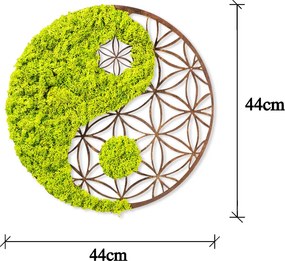 Fa és moha fali dekoráció, yin-yang, 44 cm