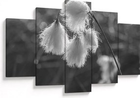 Kép - Cottongrass (150x105 cm)