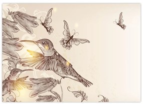 Kép - Kolibri (üvegen) (70x50 cm)