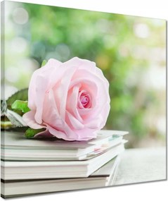 Vászonkép 40x40 Nőnap Ajándék Love