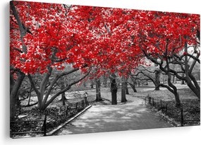Kép - vörös fák,Central Park, New York (90x60 cm)