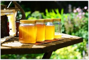 Poszterek 185x125 Természetes méz