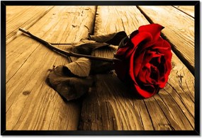 Poszter keretben 60x40 Rózsa szépia deszkákon