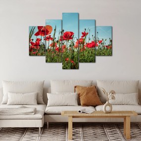 Kép - Pipacsos mező (150x105 cm)