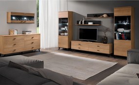 Vitrin, tölgyfa lefkas/fekete, SIRAN TYP 2