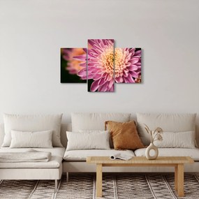Részletes virágkép (90x60 cm)