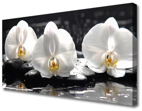 Vászonkép falra Fehér orchidea virág 100x50 cm