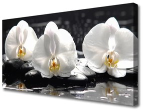 Vászonkép falra Fehér orchidea virág 120x60 cm