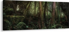 Kép - Titokzatos erdő (120x50 cm)