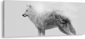 Kép - Vad tájat tükröző sarkvidéki farkas, fekete-fehér (120x50 cm)