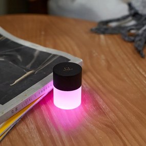 Fekete LED dimmelhető asztali lámpa üveg búrával (magasság 6 cm) Lemelia – Gingko