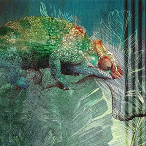 Modern fali kaméleon tapéta 250x250 wz1