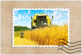 Poszterek 60x40 Kombájn gabona kaszálás