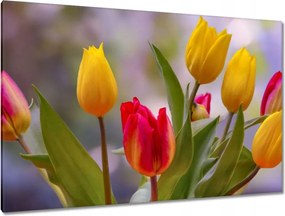 Vászonkép 120x80 Tulipánok Virágok