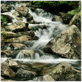 Poszterek 100x100 Tátrai patak